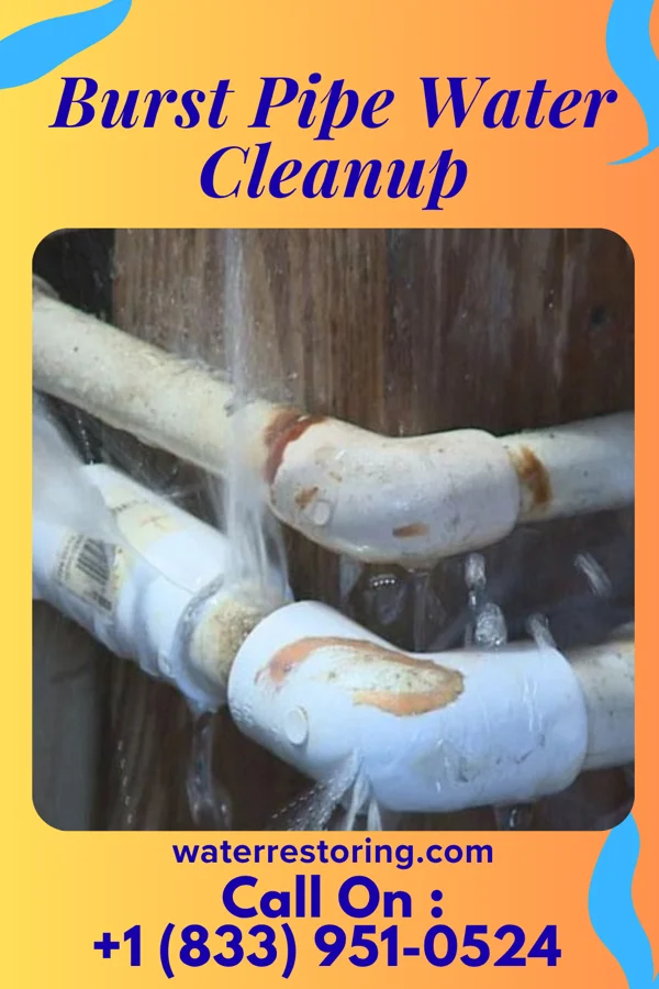 Burst Pipe Water Cleanup in Ballville, OH