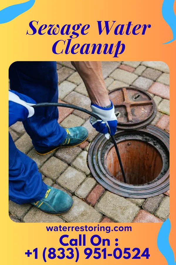 Sewage Water Cleanup in Ballville, OH